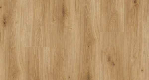 Parador Laminat &quot;Eiche Horizont natur&quot; - Basic 200 - 1 kaufen - Laminatparadies